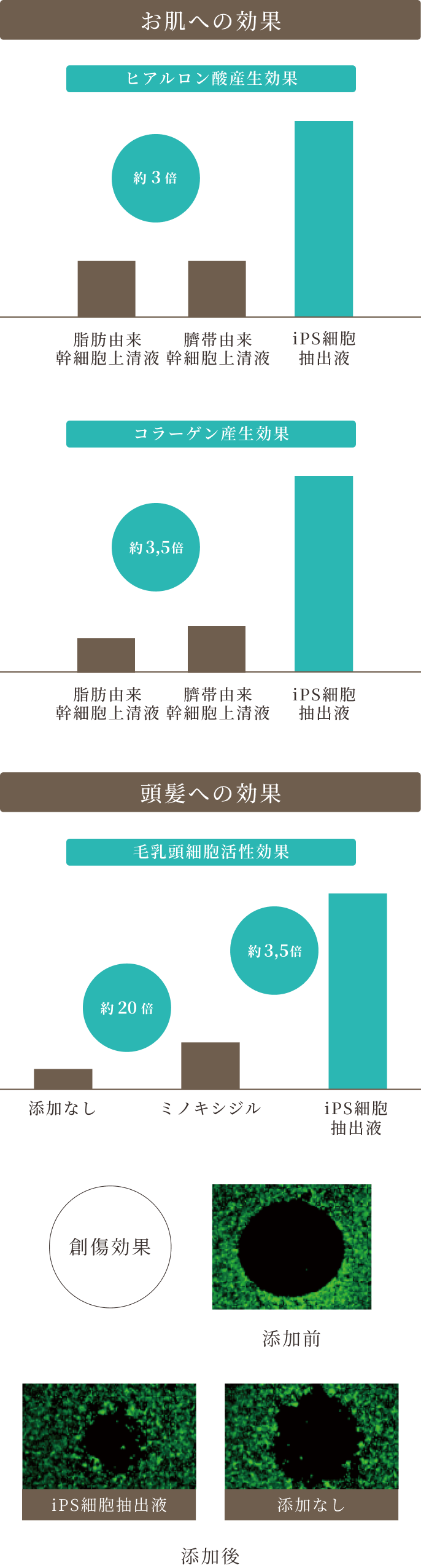 お肌への効果 頭髪への効果