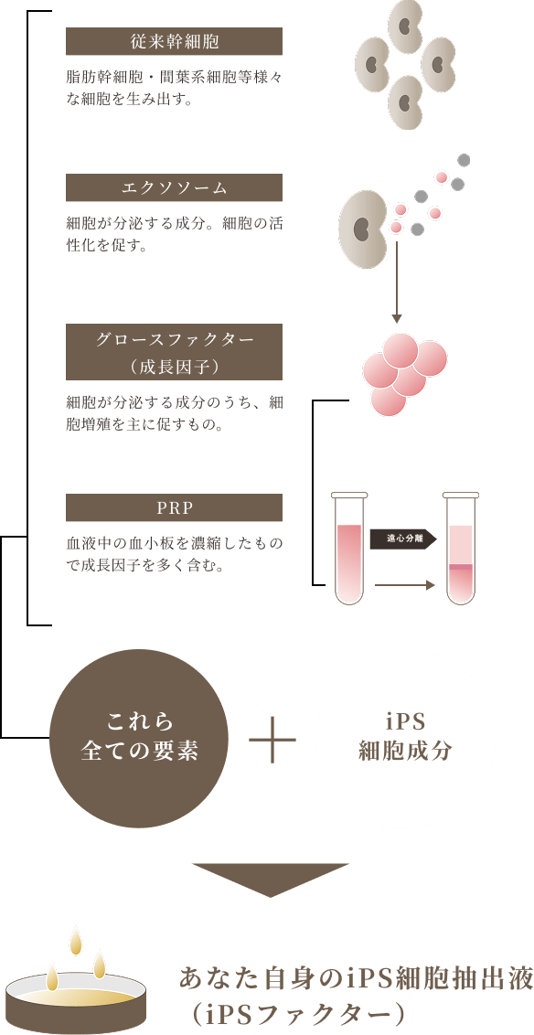 作製図