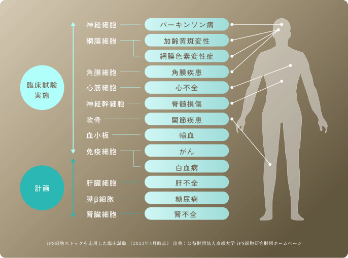 適応疾患の多さと臨床研究の実績