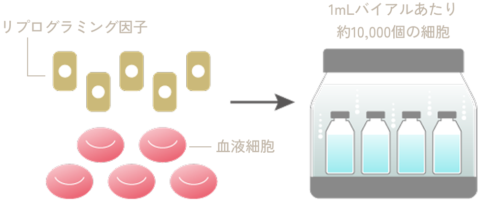 iPS細胞の作製と保管