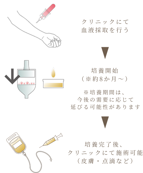 バンキングサービスの流れ